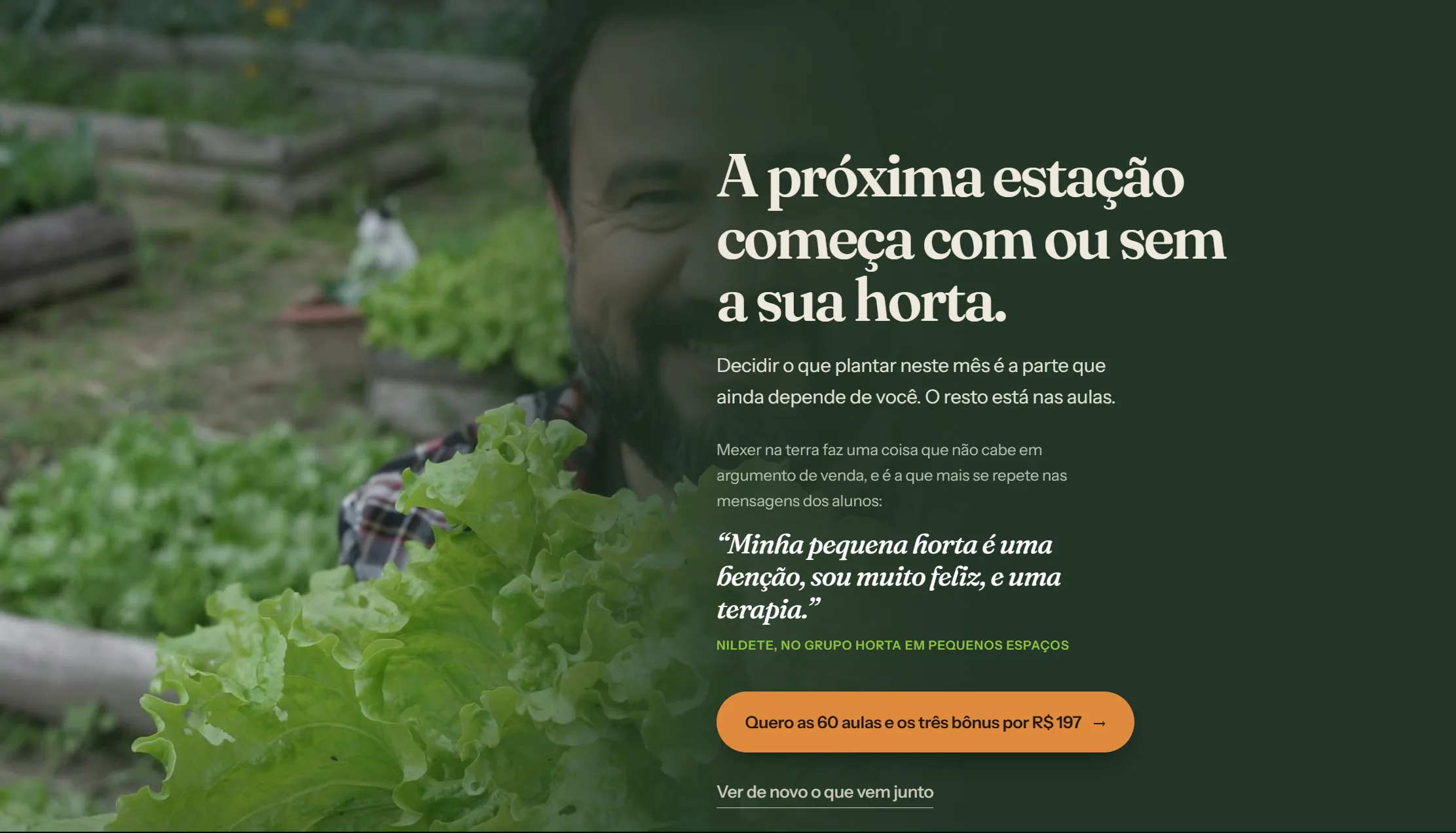 Horta caseira com canteiros e alfaces