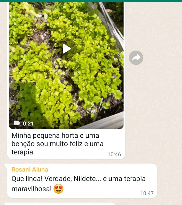 Mensagem de aluna com vídeo da própria horta: minha pequena horta é uma benção, sou muito feliz, e uma terapia