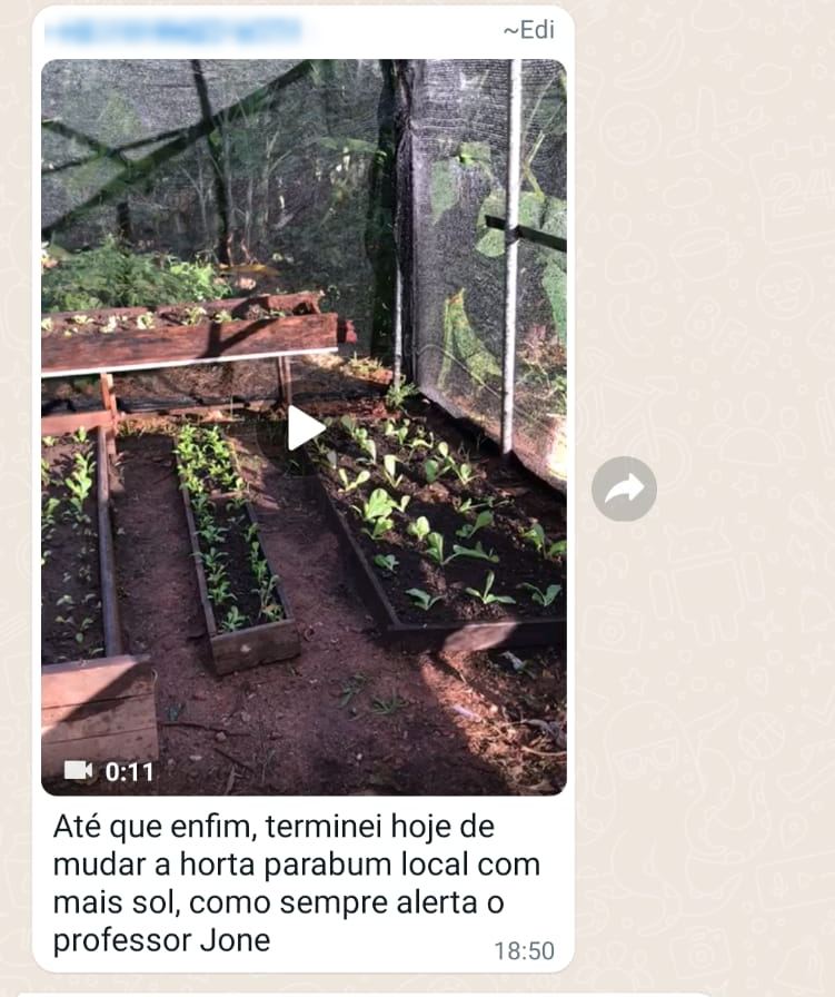 Mensagem de aluno com vídeo dos canteiros: terminei hoje de mudar a horta para um local com mais sol