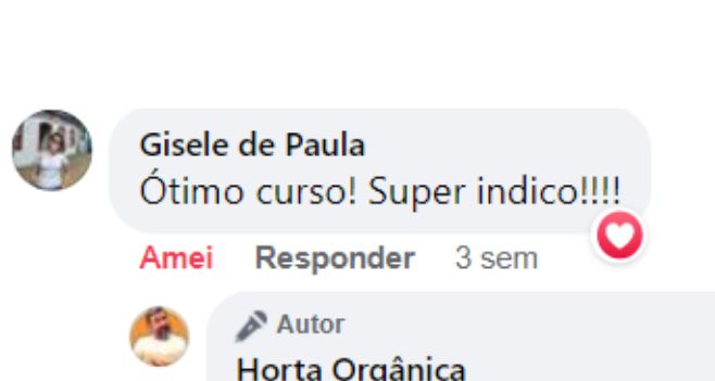 Comentário público de uma aluna: ótimo curso, super indico