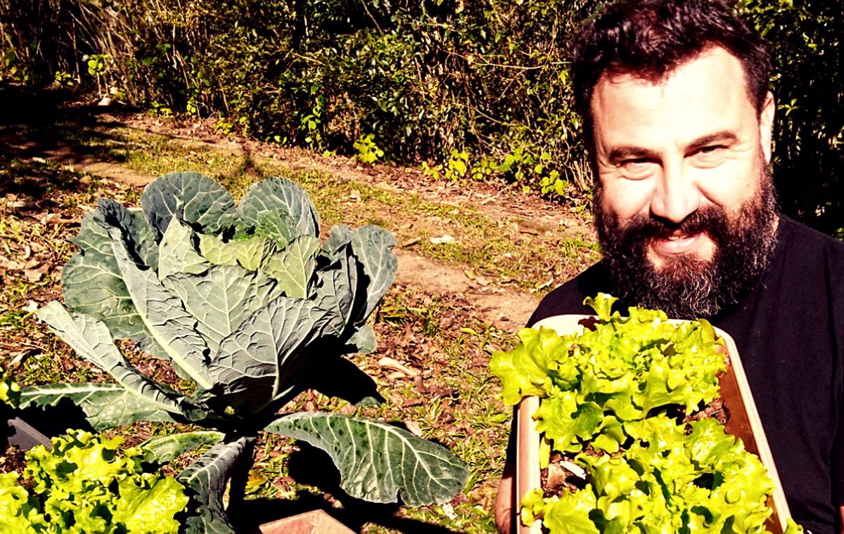 Canteiro com couve e alfaces cultivadas em espaço pequeno